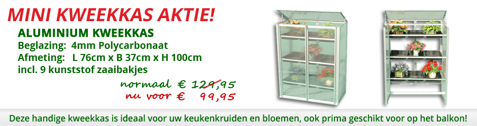 Minikas voorjaars-aanbieding